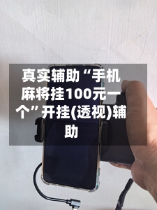 真实辅助“手机麻将挂100元一个”开挂(透视)辅助-第2张图片