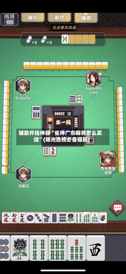 辅助开挂神器“雀神广东麻将怎么买挂”(曝光透视必备猫腻)-第3张图片