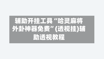 辅助开挂工具“哈灵麻将外卦神器免费”(透视挂)辅助透视教程-第3张图片