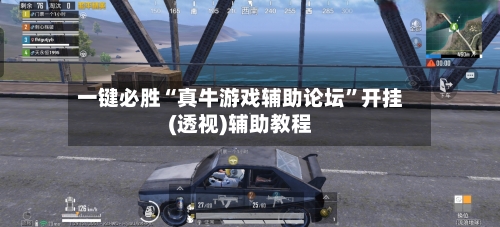 一键必胜“真牛游戏辅助论坛”开挂(透视)辅助教程-第2张图片