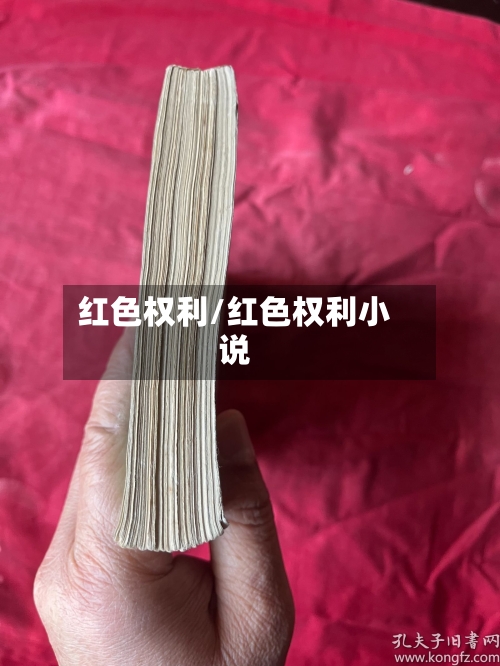 红色权利/红色权利小说-第2张图片