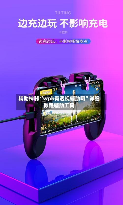 辅助神器“wpk有透视辅助嘛”详细教程辅助工具-第1张图片