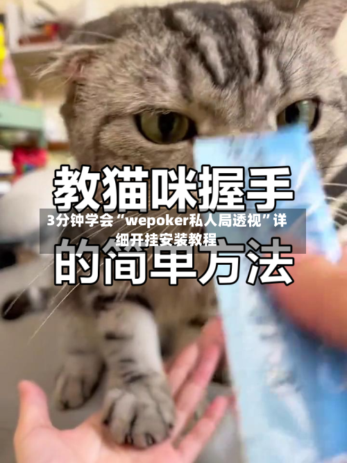 3分钟学会“wepoker私人局透视”详细开挂安装教程-第1张图片