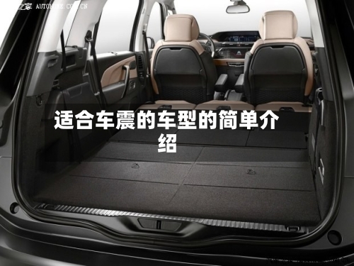 适合车震的车型的简单介绍-第2张图片