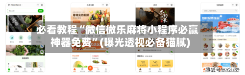 必看教程“微信微乐麻将小程序必赢神器免费	”(曝光透视必备猫腻)-第1张图片