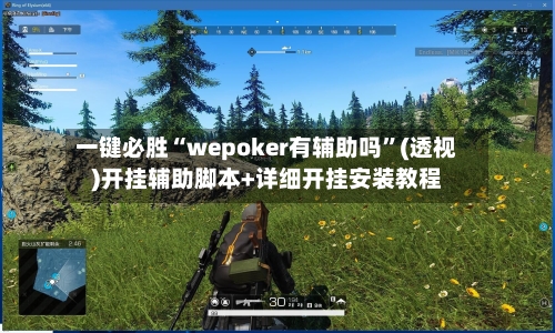 一键必胜“wepoker有辅助吗	”(透视)开挂辅助脚本+详细开挂安装教程-第2张图片