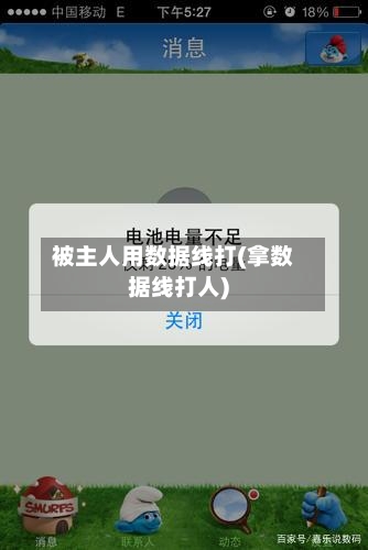 被主人用数据线打(拿数据线打人)-第2张图片