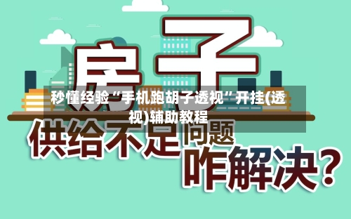 秒懂经验“手机跑胡子透视”开挂(透视)辅助教程-第1张图片