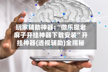 玩家辅助神器:“微乐捉老麻子开挂神器下载安装	”开挂神器{透视辅助}全揭秘-第1张图片