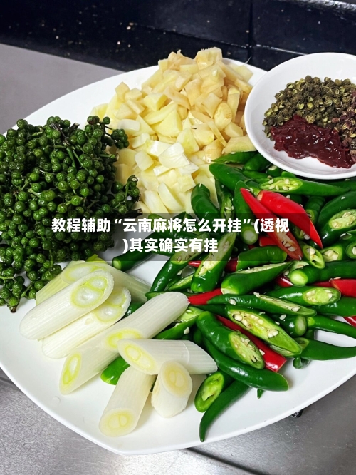 教程辅助“云南麻将怎么开挂”(透视)其实确实有挂-第3张图片