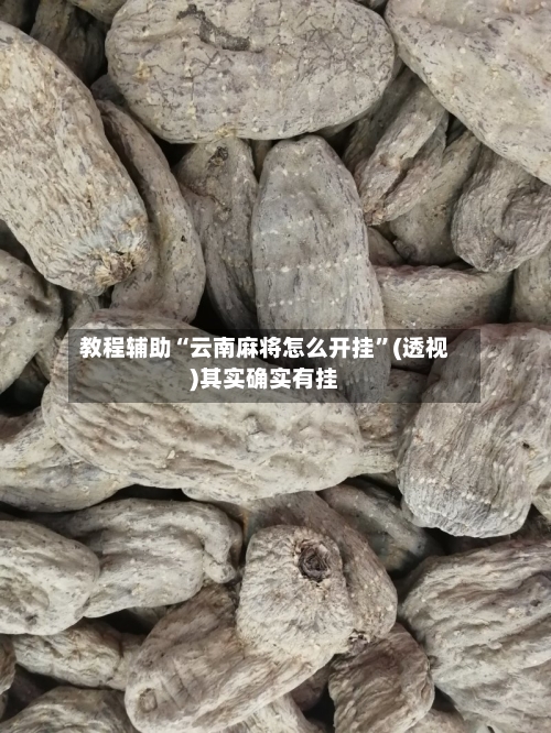 教程辅助“云南麻将怎么开挂”(透视)其实确实有挂-第2张图片