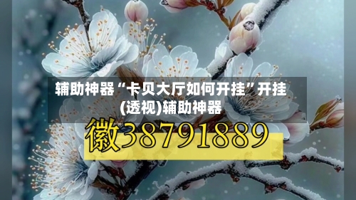 辅助神器“卡贝大厅如何开挂”开挂(透视)辅助神器-第3张图片