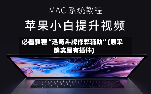 必看教程“迅奇斗牌作弊辅助”(原来确实是有插件)-第1张图片