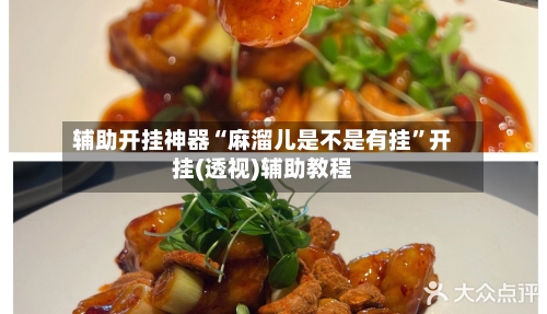 辅助开挂神器“麻溜儿是不是有挂”开挂(透视)辅助教程-第2张图片