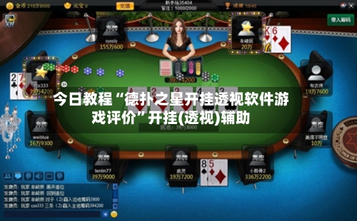 今日教程“德扑之星开挂透视软件游戏评价”开挂(透视)辅助-第3张图片