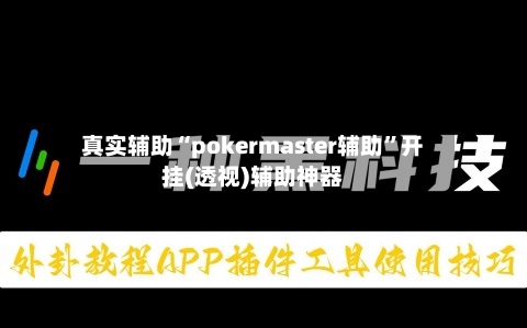 真实辅助“pokermaster辅助”开挂(透视)辅助神器-第3张图片