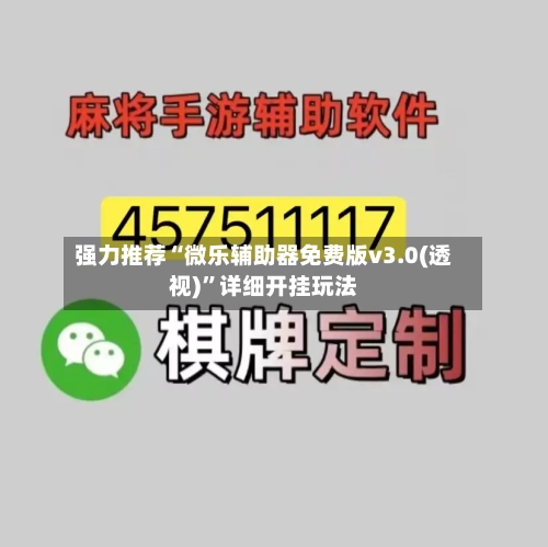 强力推荐“微乐辅助器免费版v3.0(透视)”详细开挂玩法-第2张图片