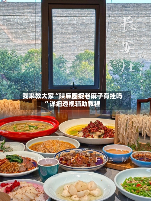 我来教大家“陕麻圈捉老麻子有挂吗”详细透视辅助教程-第1张图片