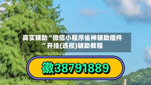 真实辅助“微信小程序雀神辅助插件”开挂(透视)辅助教程-第2张图片