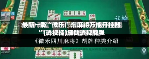 最新一款“微乐广东麻将万能开挂器”(透视挂)辅助透视教程-第3张图片