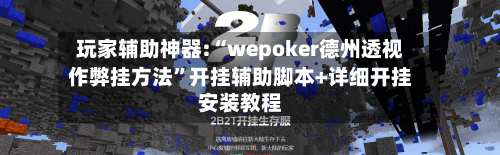 玩家辅助神器:“wepoker德州透视作弊挂方法	”开挂辅助脚本+详细开挂安装教程-第2张图片