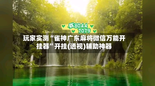 玩家实测“雀神广东麻将微信万能开挂器	”开挂(透视)辅助神器-第3张图片