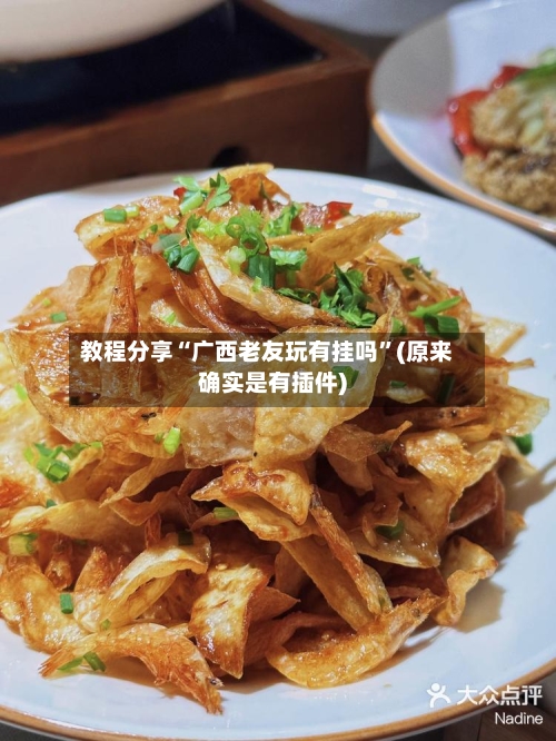 教程分享“广西老友玩有挂吗”(原来确实是有插件)-第1张图片