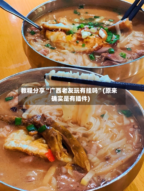 教程分享“广西老友玩有挂吗	”(原来确实是有插件)-第2张图片