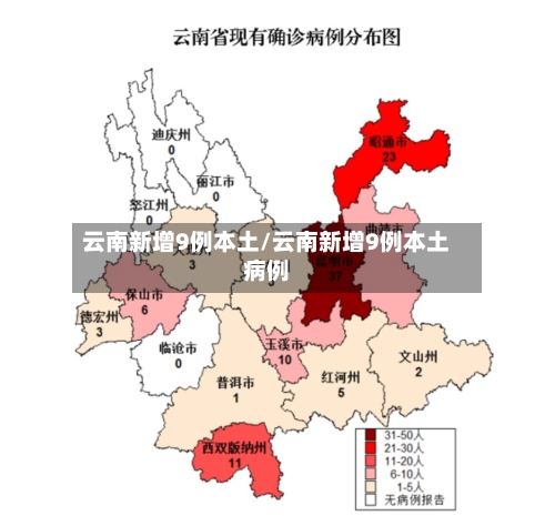 云南新增9例本土/云南新增9例本土病例-第3张图片