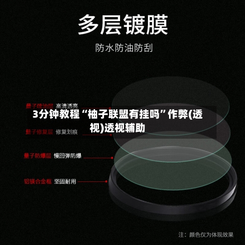 3分钟教程“柚子联盟有挂吗	”作弊(透视)透视辅助-第3张图片