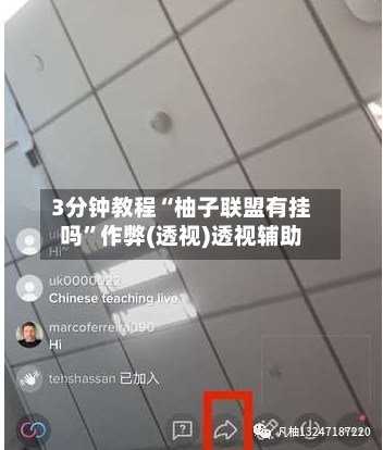 3分钟教程“柚子联盟有挂吗”作弊(透视)透视辅助-第2张图片