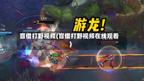 盲僧打野视频(盲僧打野视频在线观看)-第1张图片