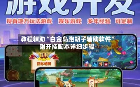 教程辅助“白金岛跑胡子辅助软件”附开挂脚本详细步骤-第2张图片