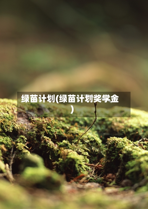 绿苗计划(绿苗计划奖学金)-第2张图片