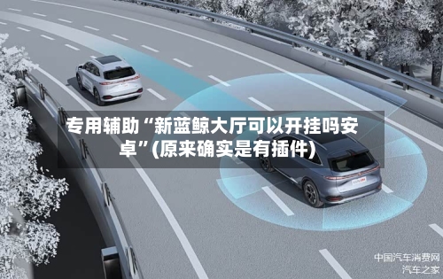 专用辅助“新蓝鲸大厅可以开挂吗安卓”(原来确实是有插件)-第2张图片