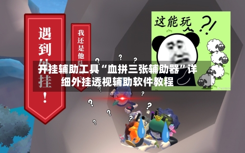 开挂辅助工具“血拼三张辅助器	”详细外挂透视辅助软件教程-第3张图片