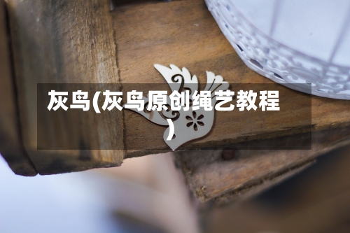 灰鸟(灰鸟原创绳艺教程)-第2张图片