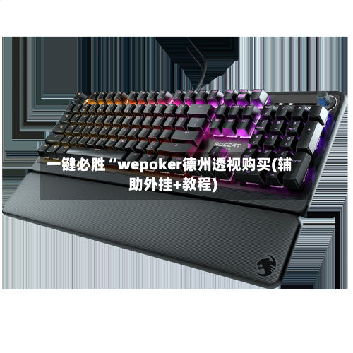 一键必胜“wepoker德州透视购买(辅助外挂+教程)-第2张图片