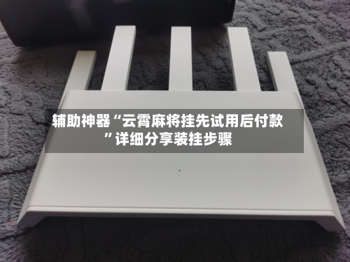 辅助神器“云霄麻将挂先试用后付款	”详细分享装挂步骤-第3张图片