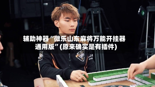 辅助神器“微乐山东麻将万能开挂器通用版”(原来确实是有插件)-第1张图片