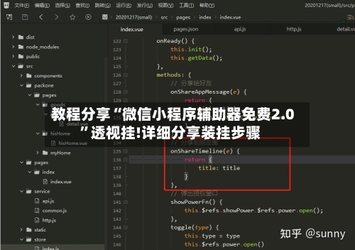 教程分享“微信小程序辅助器免费2.0	”透视挂!详细分享装挂步骤-第1张图片