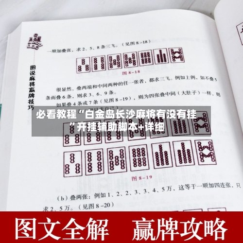 必看教程“白金岛长沙麻将有没有挂”开挂辅助脚本+详细-第1张图片