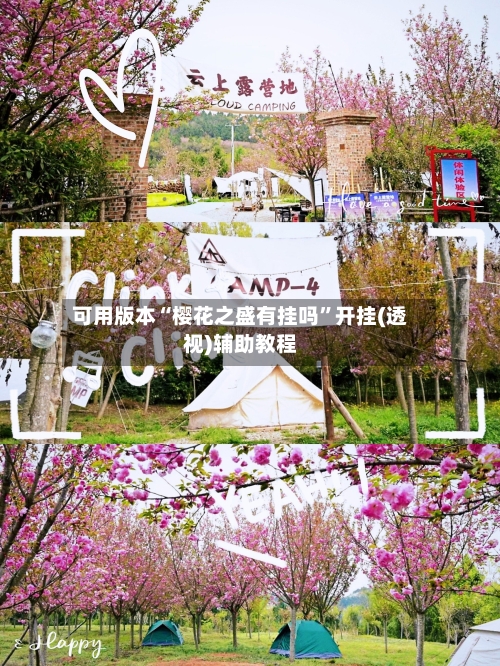 可用版本“樱花之盛有挂吗”开挂(透视)辅助教程-第2张图片