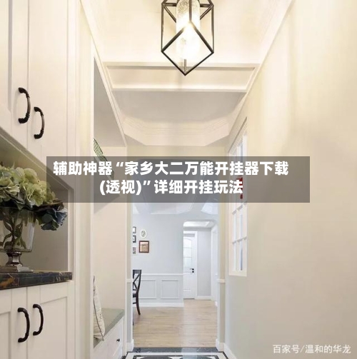 辅助神器“家乡大二万能开挂器下载(透视)”详细开挂玩法-第2张图片