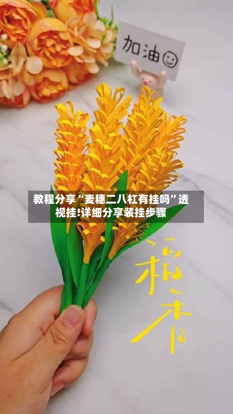 教程分享“麦穗二八杠有挂吗	”透视挂!详细分享装挂步骤-第1张图片