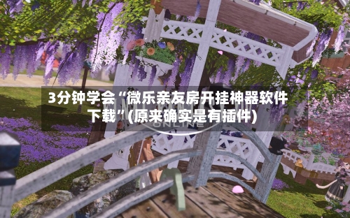 3分钟学会“微乐亲友房开挂神器软件下载”(原来确实是有插件)-第1张图片