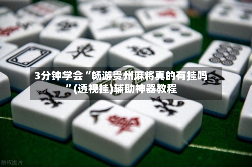 3分钟学会“畅游贵州麻将真的有挂吗”(透视挂)辅助神器教程-第3张图片