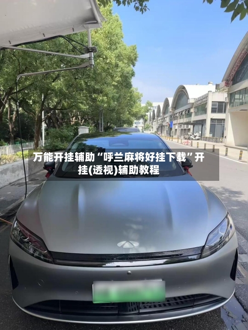 万能开挂辅助“呼兰麻将好挂下载	”开挂(透视)辅助教程-第1张图片