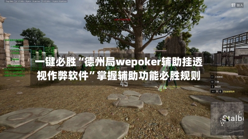 一键必胜“德州局wepoker辅助挂透视作弊软件”掌握辅助功能必胜规则-第1张图片
