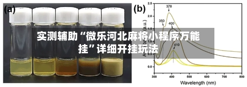 实测辅助“微乐河北麻将小程序万能挂”详细开挂玩法-第1张图片